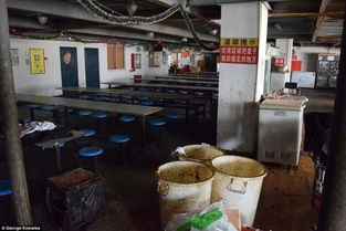 外媒報道引發(fā)關注 iPhone上海代工廠員工住宿服務引爭議